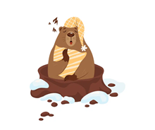 La marmotte hiberne1