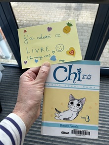 avis chi