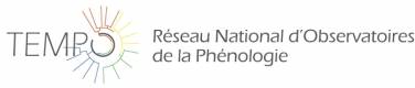 logo TEMPO